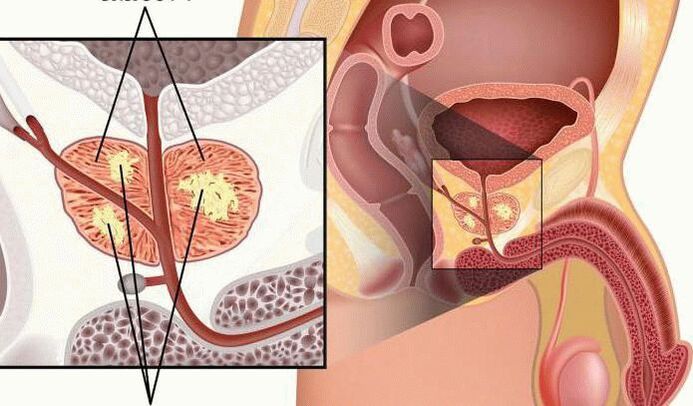 Желідегі сексуалды қыздар